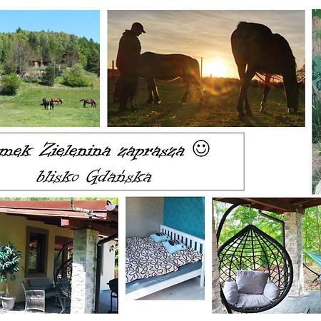 Domek Zielenina Mierzeszyn Dış mekan fotoğraf