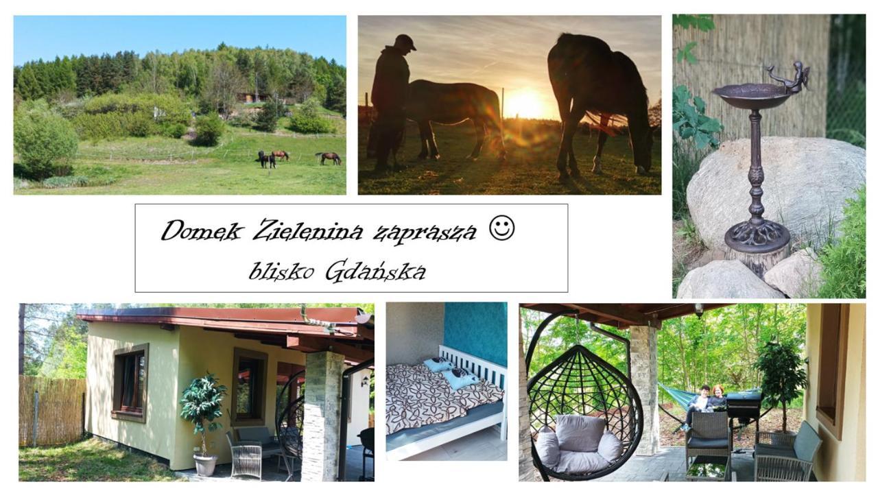 Domek Zielenina Mierzeszyn Dış mekan fotoğraf